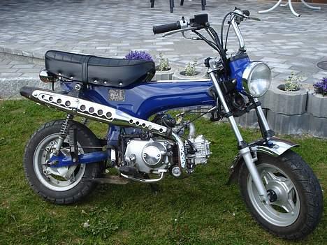 Skyteam Dax =Solgt= billede 1