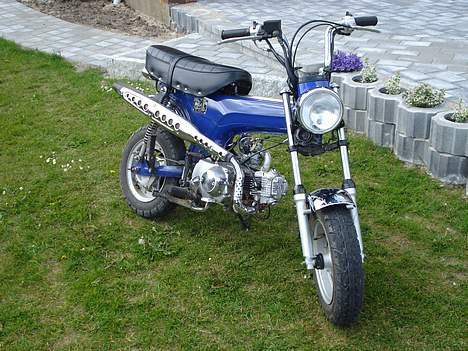 Skyteam Dax =Solgt= billede 3