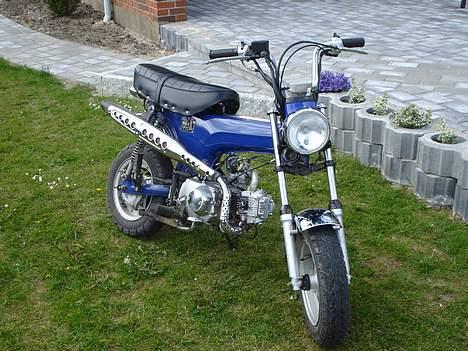 Skyteam Dax =Solgt= billede 4