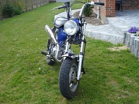 Skyteam Dax =Solgt= billede 5