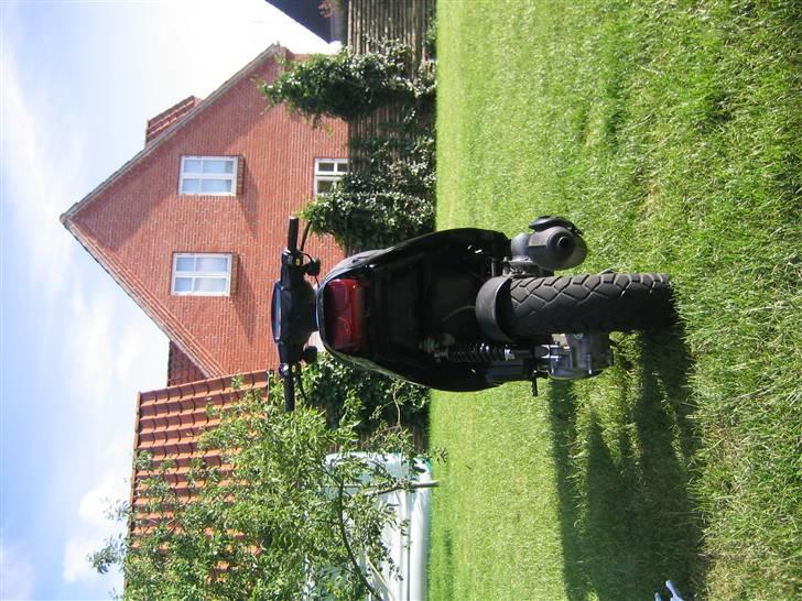 PGO hot 50 (byttet) - stemmer i ikke billede 6