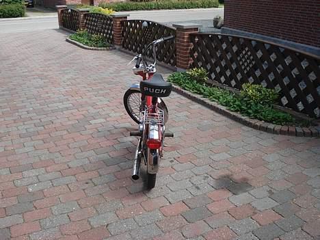 Puch MAXI SPLITTET!!!!!!!!!!!! billede 5