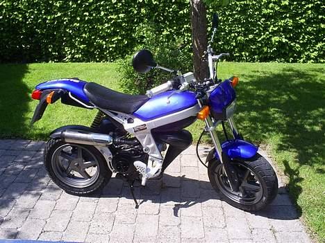 Suzuki Street Magic - Solgt billede 4