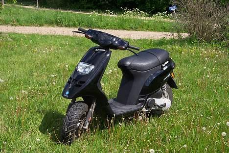 Piaggio Typhoon *SOLGT* billede 1