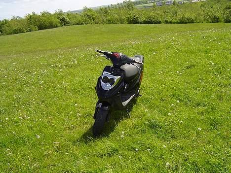 PGO Hot 50 (Stjålet) billede 6