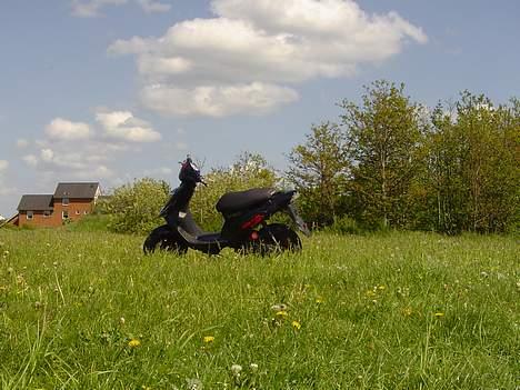 PGO Hot 50 (Stjålet) billede 9