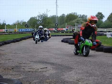 Polini 910 Carena *SOLGT* - Farvel? billede 20