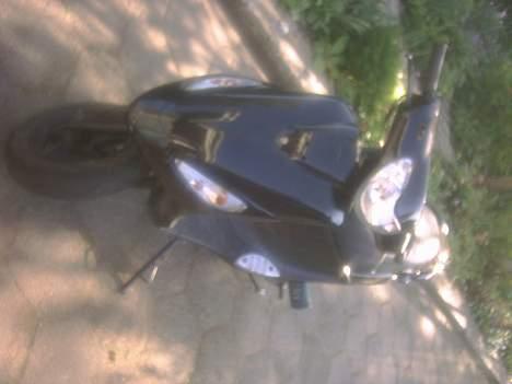 PGO magic, (SOLGT) billede 3