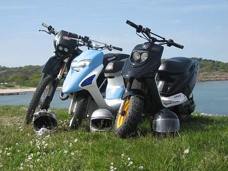 PGO Hot 50: Det Sorte Svin <3 - *Nye yderskjolde* billede 9