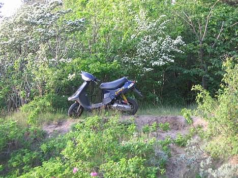 PGO Comet AC BYTTET til neos billede 3