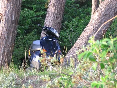 PGO Comet AC BYTTET til neos billede 4