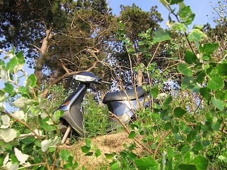 PGO Comet AC BYTTET til neos billede 9