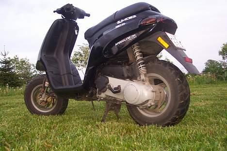 Piaggio Typhoon *SOLGT* billede 6