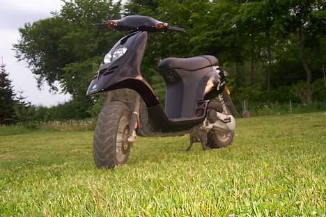 Piaggio Typhoon *SOLGT* billede 7