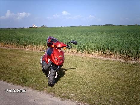 PGO tornado Tilsalg 4500 kr billede 5