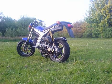 Suzuki street magic <<solgt>> billede 7