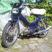 Puch Maxi 2 gears