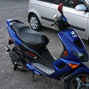 Peugeot Speedfight Prost 