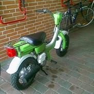 Suzuki FZ50 *SOLGT*