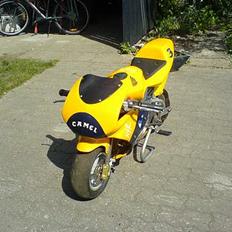 MiniBike pocket bike