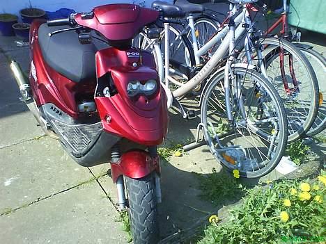 PGO hot 50 (Bytte til 4g) billede 1