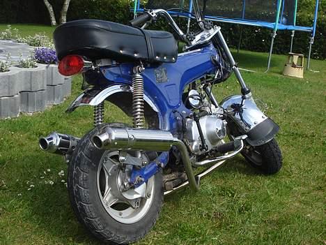 Skyteam Dax =Solgt= - det pynter bare med sådan en kal.. billede 10