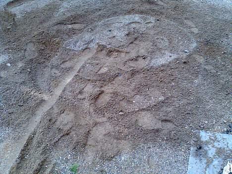 Honda sfx - Solgt - Efter lidt sjov og ballade billede 20