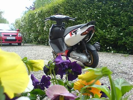 Aprilia Sonic ¤STJÅLET¤ billede 15
