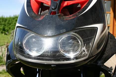 Aprilia Ditech LC DD solgt - AHH man skal ikke møde en Måge med 120kmt  billede 4