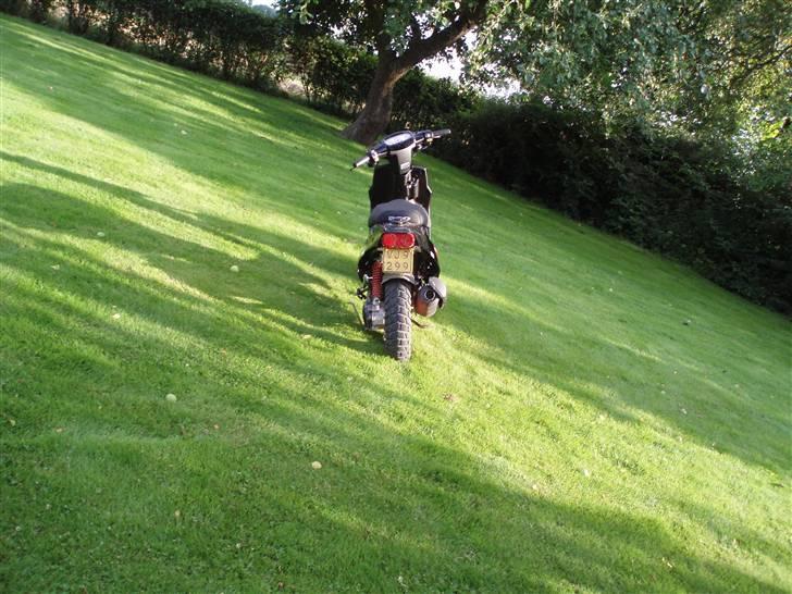 PGO Hot 50 solgt billede 18