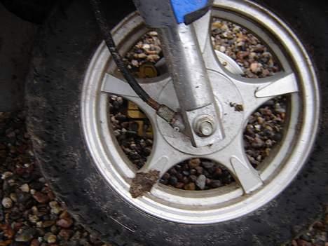 Texas Flash solgt - Fælge..... Med ko lort... HeHe billede 6