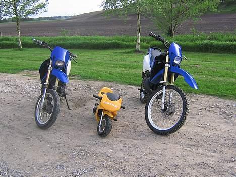 Suzuki RMX (SOLGT) billede 12