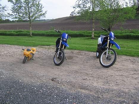 Suzuki RMX (SOLGT) billede 17