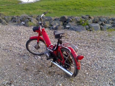 Puch Maxi K It has ben reborn billede 3