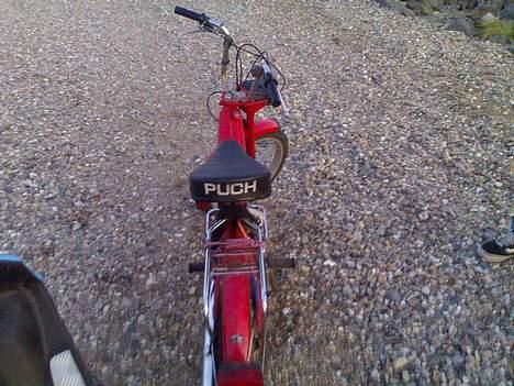 Puch Maxi K It has ben reborn billede 6