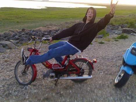 Puch Maxi K It has ben reborn - Bjarke (Passager) billede 8