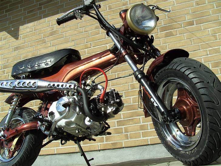 Skyteam dax bror lort. SOLGT! - Efter.    hård og brutal billede 1