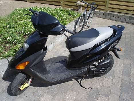 Honda SFX SOLGT! billede 2