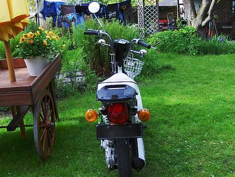 Suzuki Fz50 Ac - Solgt billede 5