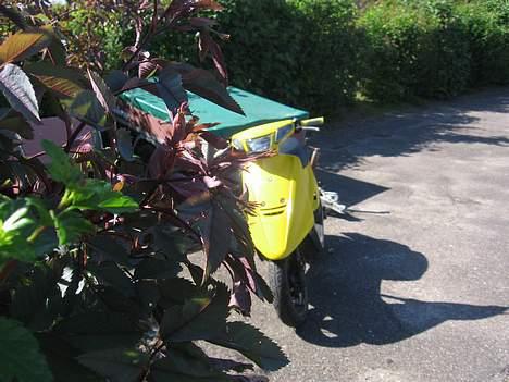 Yamaha jog SOLGT billede 17