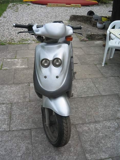 Adly cat SOLGT billede 1