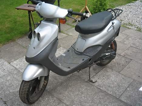 Adly cat SOLGT billede 2