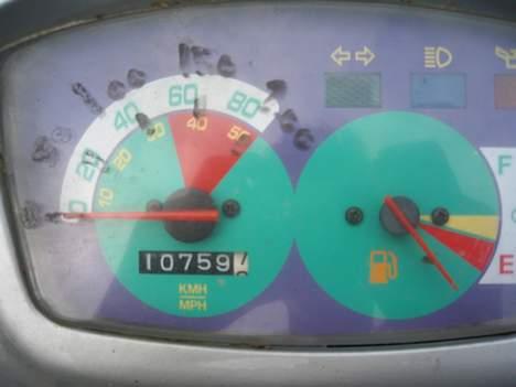 Adly cat SOLGT billede 3