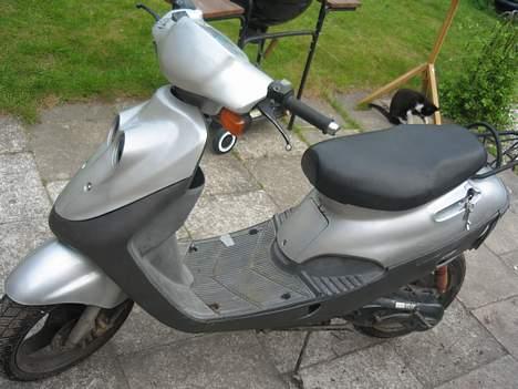 Adly cat SOLGT billede 5