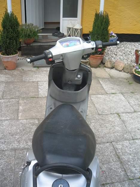 Adly cat SOLGT billede 6