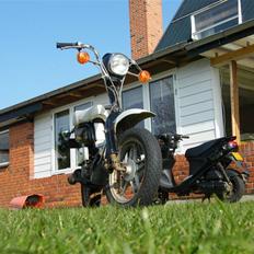 Suzuki fz 50