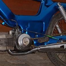 Puch maxi/2 gear SOLGT