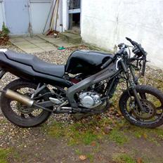 Yamaha Tzr,Byttet til Jog