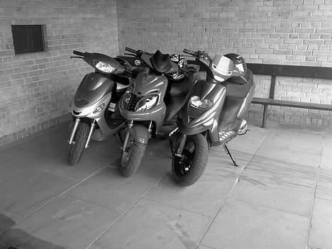 Gilera Stalker (gejling projekt) billede 13