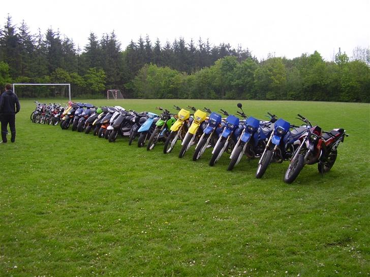 Aprilia Rally (Solgt) - Alle Nøv´s knallerter billede 10